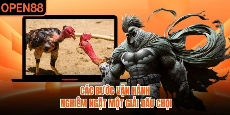 Các bước vận hành nghiêm ngặt một giải đấu chọi
