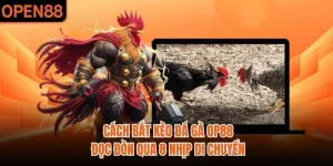 Cách Bắt Kèo Đá Gà OP88 | Đọc Đòn Qua 8 Nhịp Di Chuyển