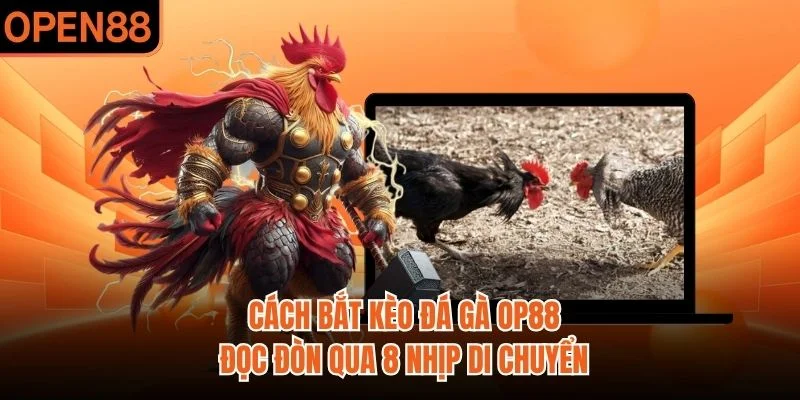 Cách Bắt Kèo Đá Gà OP88 | Đọc Đòn Qua 8 Nhịp Di Chuyển