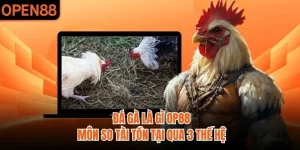Đá Gà Là Gì OP88 | Môn So Tài Tồn Tại Qua 3 Thế Hệ