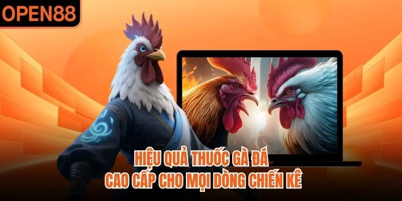 Hiệu quả thuốc gà đá cao cấp cho mọi dòng chiến kê