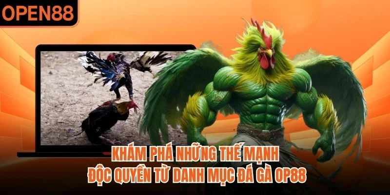 Khám phá những thế mạnh độc quyền từ danh mục đá gà OP88