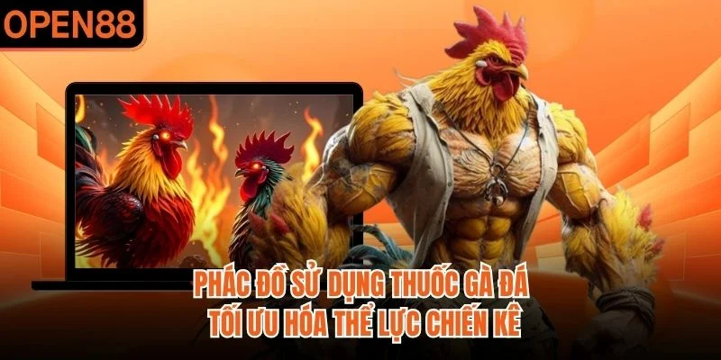 Phác đồ sử dụng thuốc gà đá tối ưu hóa thể lực chiến kê