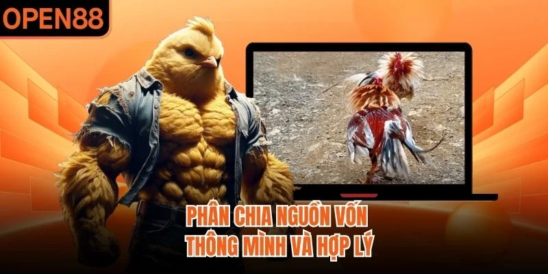 Phân chia nguồn vốn thông mình và hợp lý