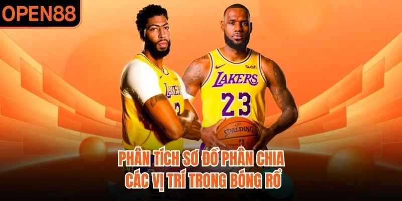 Phân tích sơ đồ phân chia các vị trí trong bóng rổ