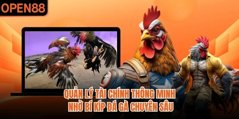 Quản lý tài chính thông minh nhờ bí kíp đá gà chuyên sâu