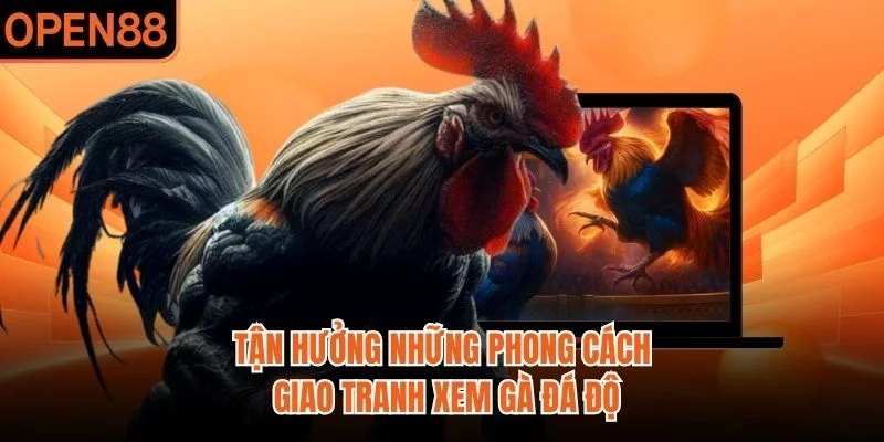 Tận hưởng những phong cách giao tranh xem gà đá độ​