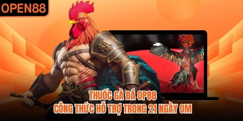 Thuốc Gà Đá OP88 | Công Thức Hỗ Trợ Trong 21 Ngày Om