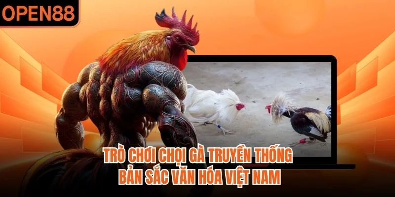 Trò chơi chọi gà truyền thống bản sắc văn hóa Việt Nam